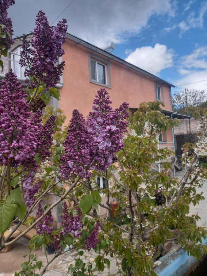 Byurakan Guesthouse & Cottage Exterior photo